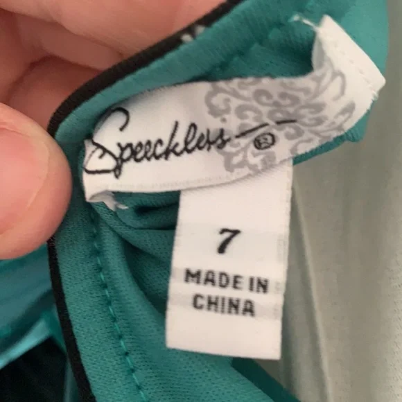 Speechless Dress - Picture 6 of 7